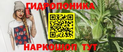 СК Гусь-Хрустальный