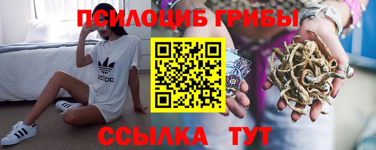 Псилоцибиновые грибы Magic Shrooms Нижнекамск