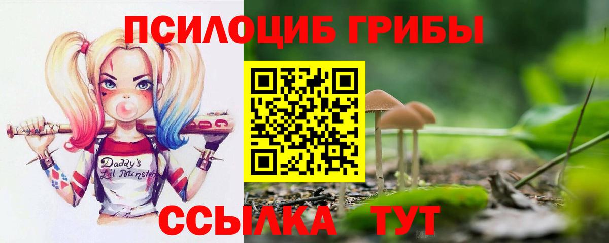 Галлюциногенные грибы MAGIC MUSHROOMS  купить наркотики сайты  Нижнекамск  Вход с VPN 