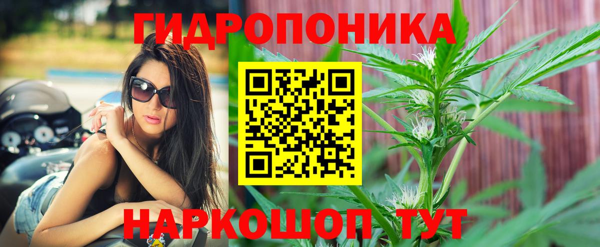 Бошки Шишки THC 21%  Бошки марихуана конопля  Нижнекамск  Вход с VPN  Бошки Шишки White Widow 